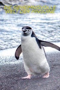 Секреты пингвинов